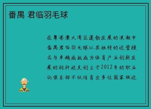 番禺 君临羽毛球