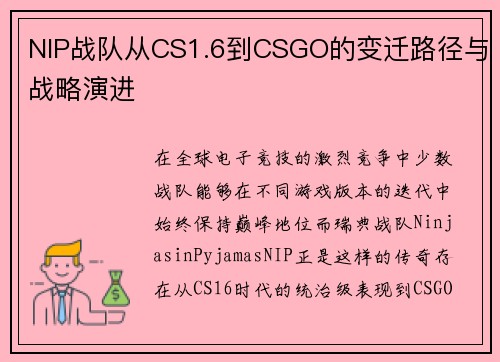 NIP战队从CS1.6到CSGO的变迁路径与战略演进