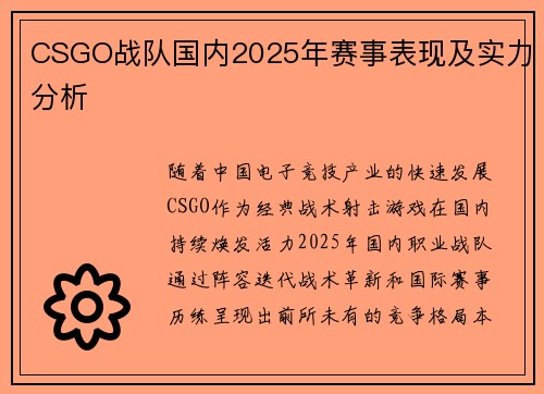 CSGO战队国内2025年赛事表现及实力分析